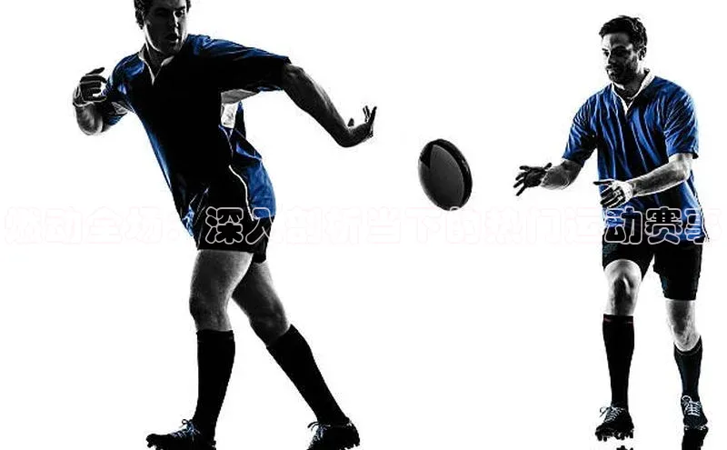 燃动全场：深入剖析当下的热门运动赛事