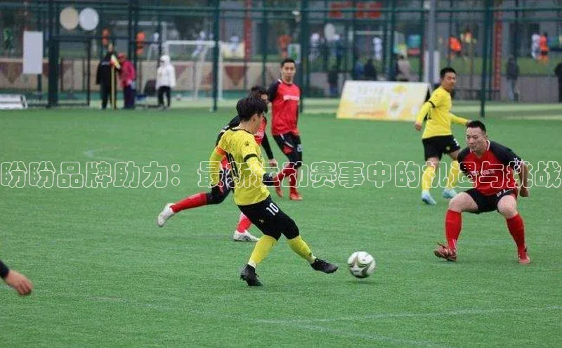 盼盼品牌助力：最新运动赛事中的机遇与挑战