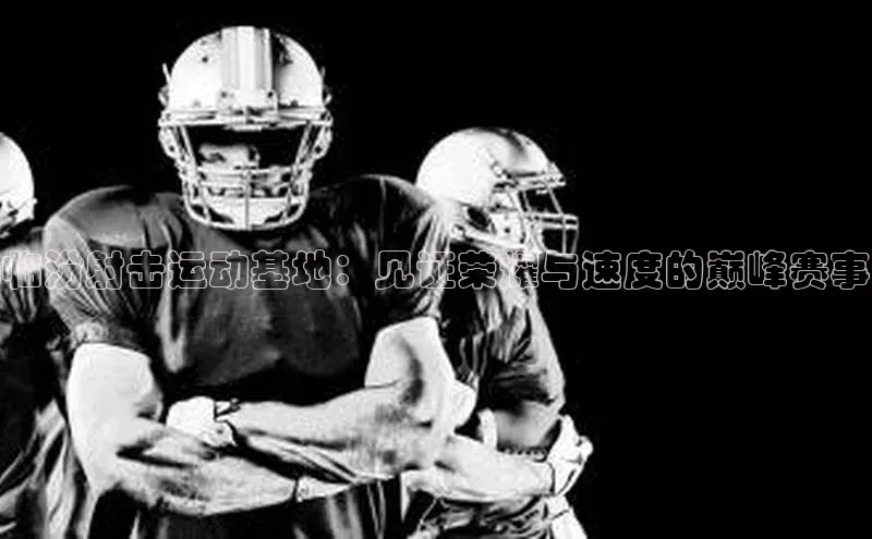 临汾射击运动基地：见证荣耀与速度的巅峰赛事