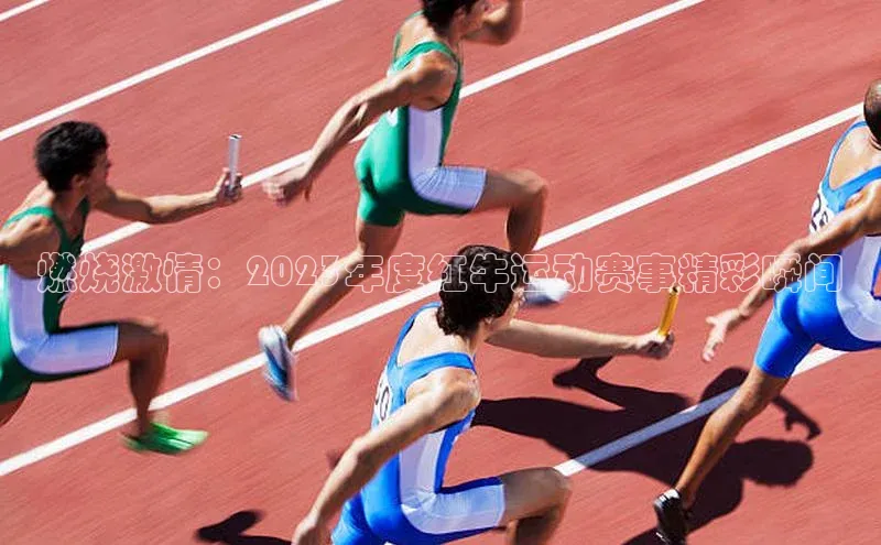 燃烧激情：2023年度红牛运动赛事精彩瞬间