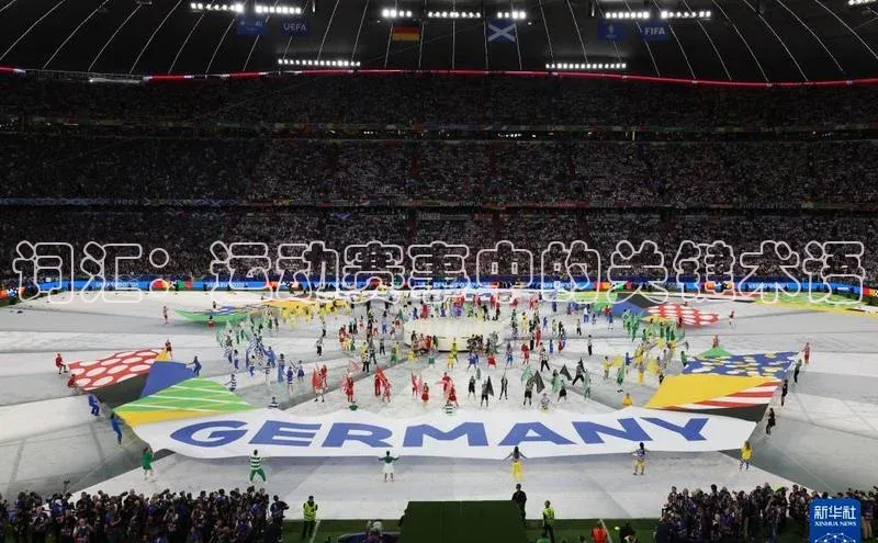 词汇：运动赛事中的关键术语