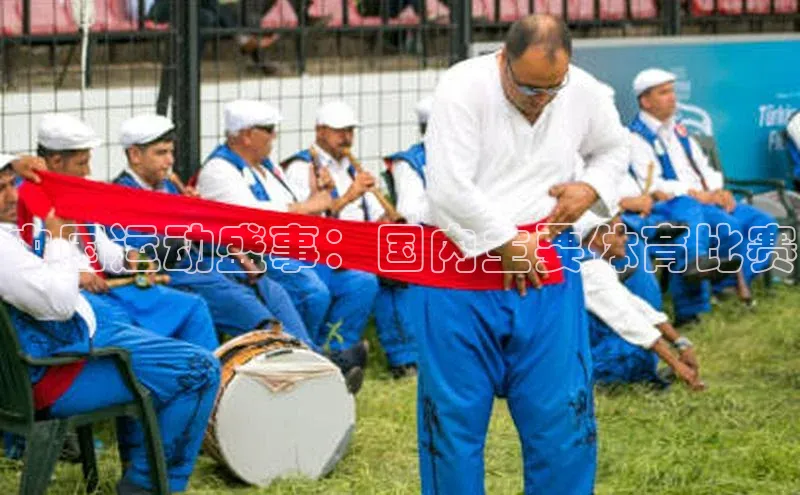 中国运动盛事：国内主要体育比赛