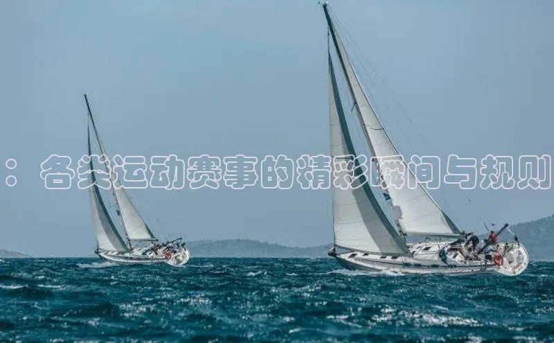 ：各类运动赛事的精彩瞬间与规则