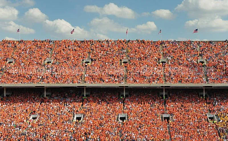 2015年国际体育盛事回顾与展望：如何塑造未来运动潮流？