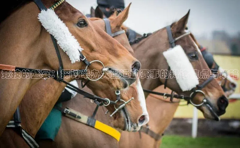 竞技的盛宴：探讨举办大型运动赛事的辩论焦点与策略