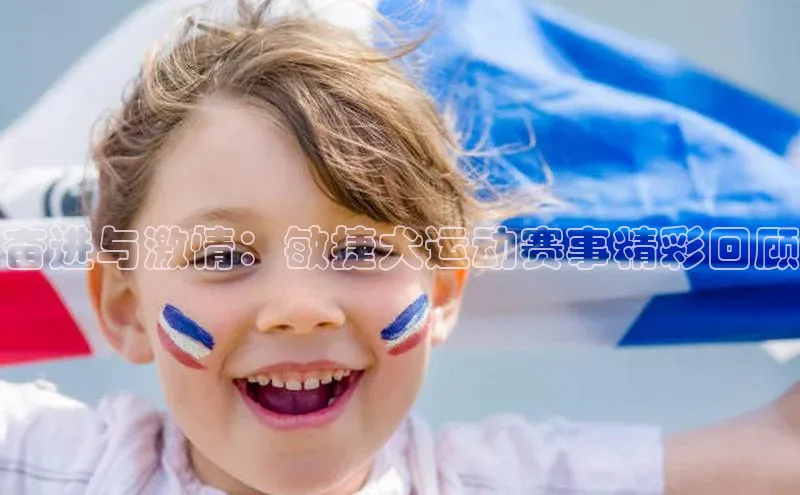 奋进与激情：敏捷犬运动赛事精彩回顾